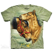  Meadow Horses
