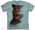Brown Bear Forest